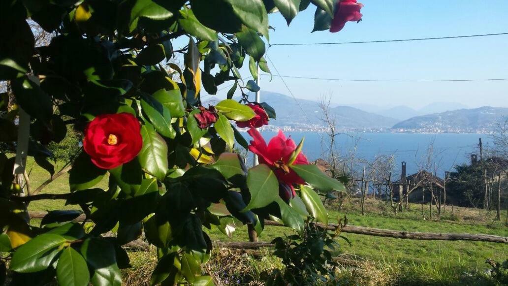Casa Madama Διαμέρισμα Cannero Riviera Εξωτερικό φωτογραφία